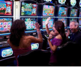 壹号下载app链接2024最新版